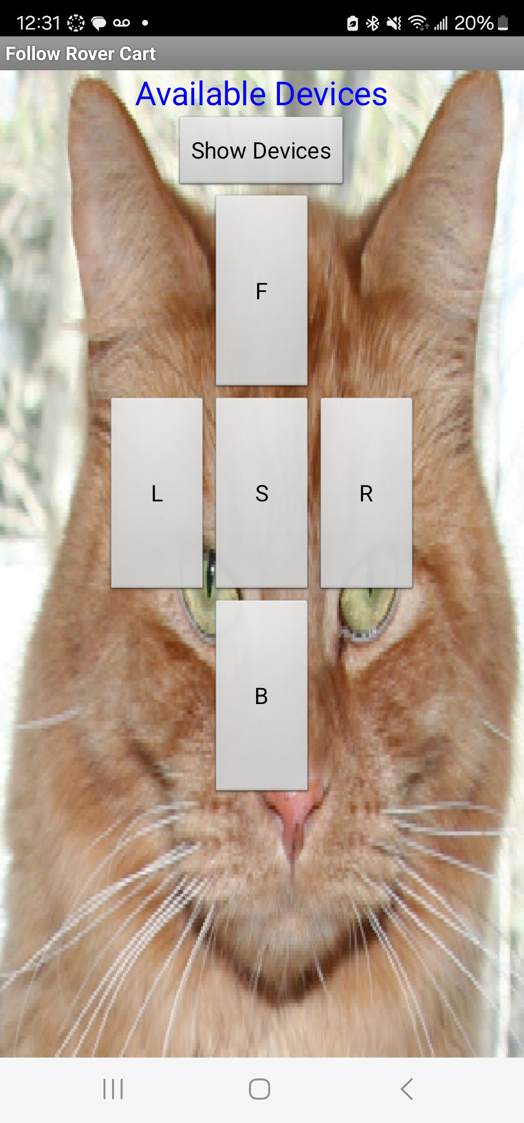 this is object5
